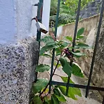 Moradia T2 Em Bairro Pitoresco Da - Cantinho Da Luz *