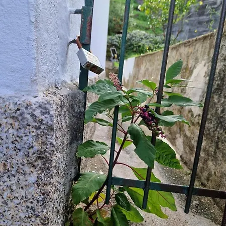 Moradia T2 Em Bairro Pitoresco Da - Cantinho Da Luz *