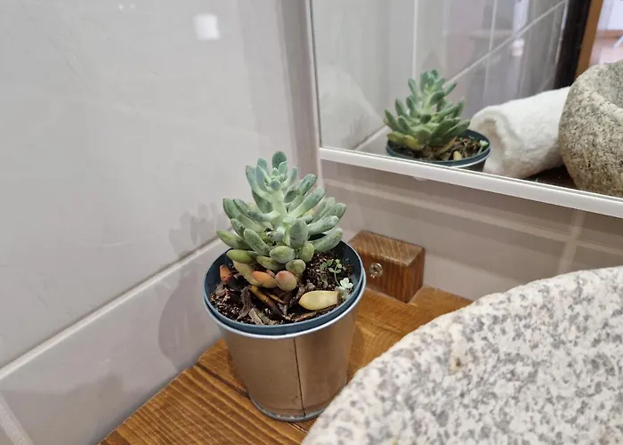 Moradia T2 Em Bairro Pitoresco Da